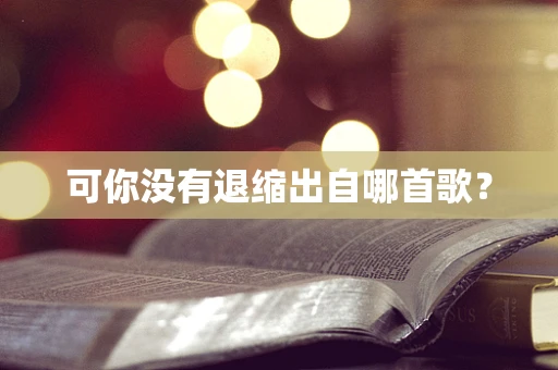 可你没有退缩出自哪首歌？