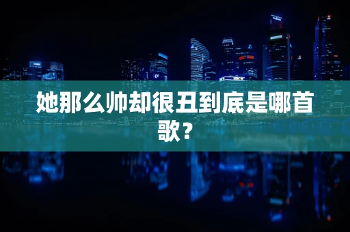 她那么帅却很丑到底是哪首歌？