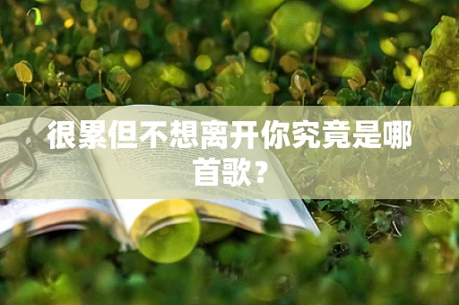 很累但不想离开你究竟是哪首歌？