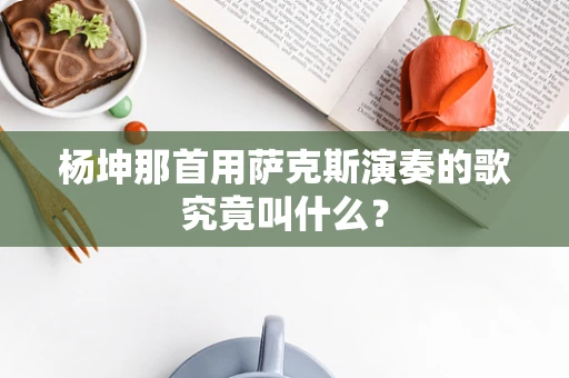 杨坤那首用萨克斯演奏的歌究竟叫什么？