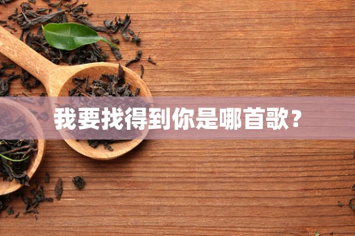 我要找得到你是哪首歌？