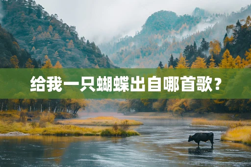 给我一只蝴蝶出自哪首歌？
