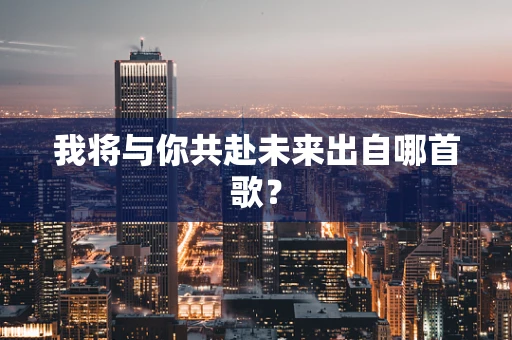 我将与你共赴未来出自哪首歌？