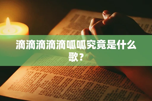 滴滴滴滴滴呱呱究竟是什么歌？