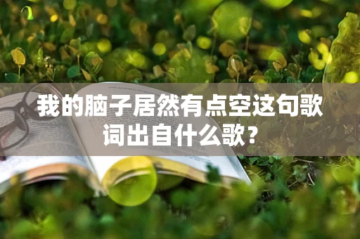 我的脑子居然有点空这句歌词出自什么歌？