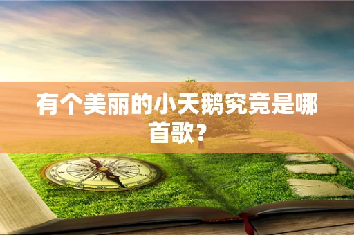 有个美丽的小天鹅究竟是哪首歌？