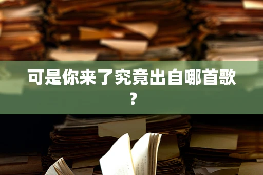 可是你来了究竟出自哪首歌？