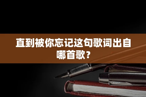 直到被你忘记这句歌词出自哪首歌？