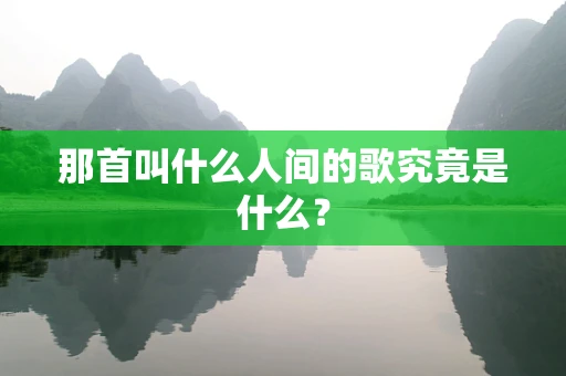 那首叫什么人间的歌究竟是什么？