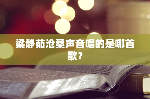 梁静茹沧桑声音唱的是哪首歌？