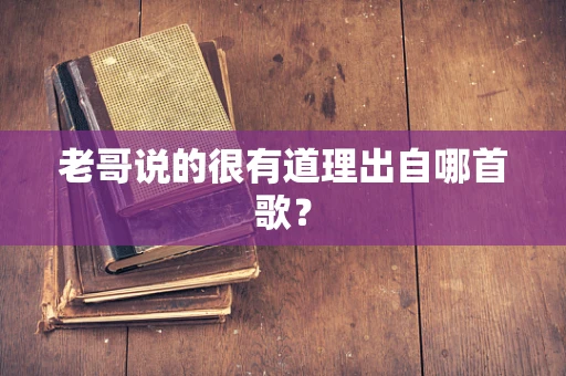 老哥说的很有道理出自哪首歌？