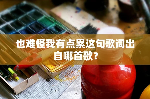 也难怪我有点累这句歌词出自哪首歌？