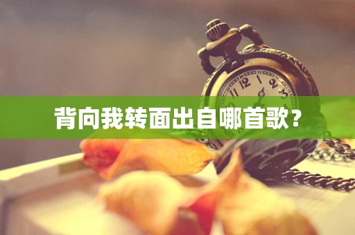 背向我转面出自哪首歌？