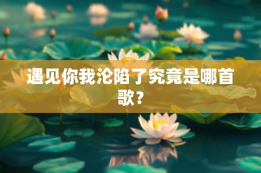 遇见你我沦陷了究竟是哪首歌？