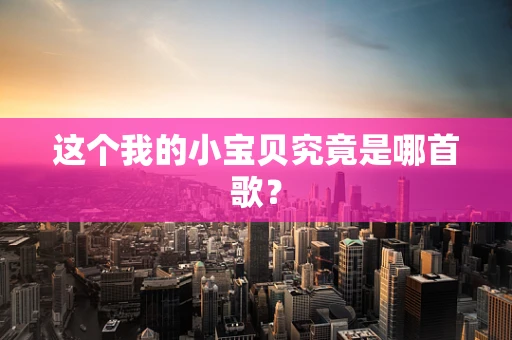 这个我的小宝贝究竟是哪首歌？