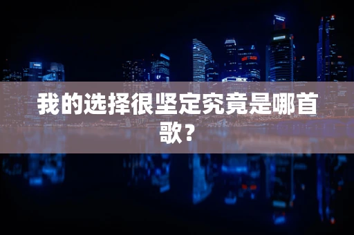 我的选择很坚定究竟是哪首歌？