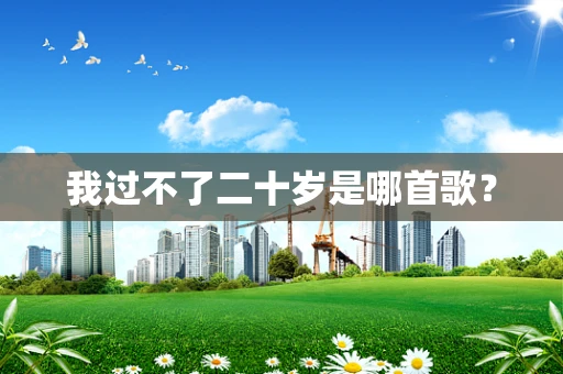 我过不了二十岁是哪首歌？