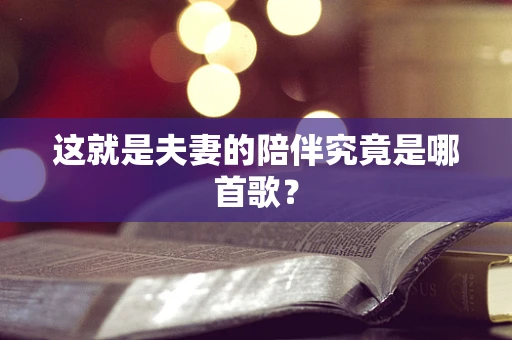 这就是夫妻的陪伴究竟是哪首歌？