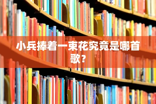 小兵捧着一束花究竟是哪首歌？