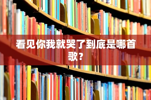 看见你我就哭了到底是哪首歌？