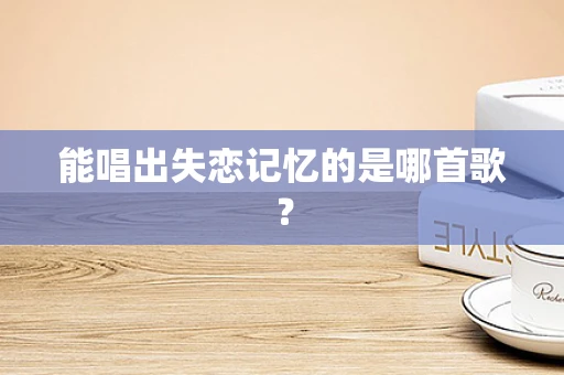 能唱出失恋记忆的是哪首歌？