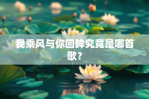 我乘风与你回眸究竟是哪首歌？