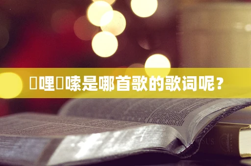 啰哩啰嗦是哪首歌的歌词呢？