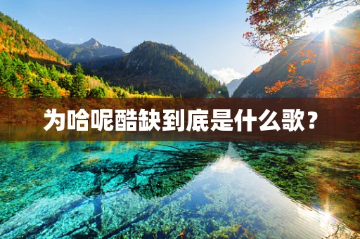 为哈呢酷缺到底是什么歌？
