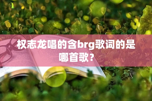 权志龙唱的含brg歌词的是哪首歌？
