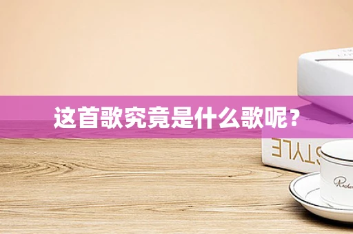 这首歌究竟是什么歌呢？