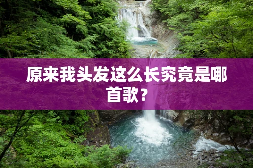 原来我头发这么长究竟是哪首歌？