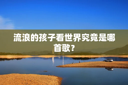 流浪的孩子看世界究竟是哪首歌？