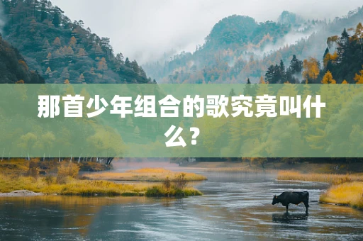 那首少年组合的歌究竟叫什么？