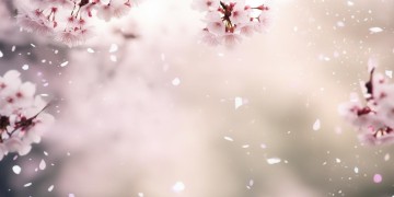 把你的伤悲出自哪首歌？