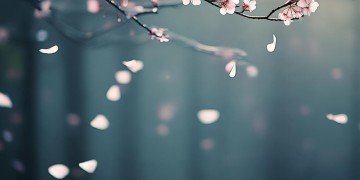 悲伤最好听的歌究竟是哪首？