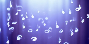 这些天过的很充实究竟是哪首歌？