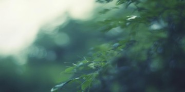 无话吗清风出自哪首歌？