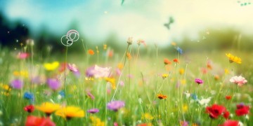 简单快乐究竟是怎样一首歌？