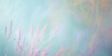 如果你很了解我究竟是哪首歌？