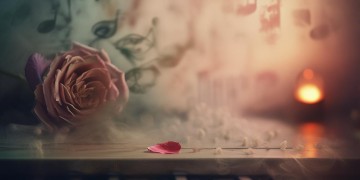 那你得有多孤独啊是哪首歌？