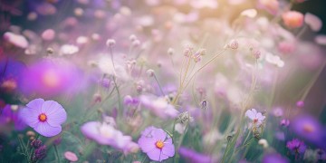 会有王源送你花出自哪首歌？