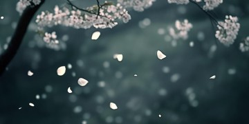 我和你没了结局是哪首歌？