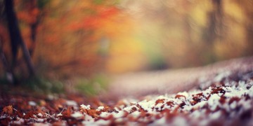 度过了三个春秋究竟是哪首歌？