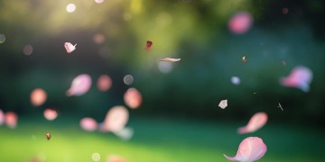 我爱你心地善良究竟是哪首歌？