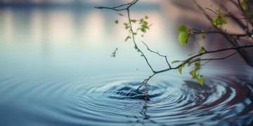 人世间无心的相遇究竟是哪首歌？