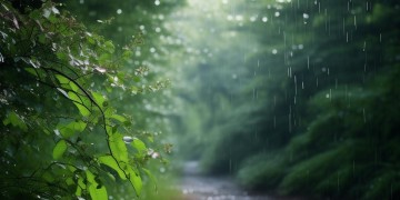 雨过后的寂静究竟是哪首歌？