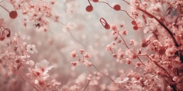 我们的歌东北话歌词到底是啥？