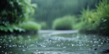袅袅淅沥雨飘飘出自哪首歌？