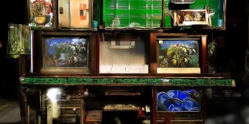 上海现在都在放蔡依林的哪首歌？