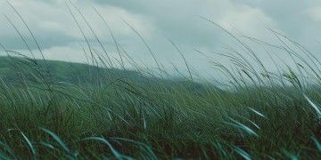 外面的世界会有风吹雨打究竟是哪首歌？